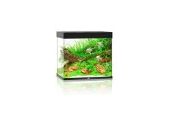 Juwel Lido Aquarium 200 LED, Schwarz