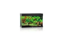 Juwel Rio Aquarium 125 LED, Schwarz