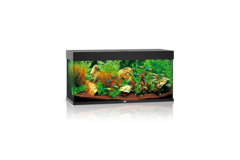 Juwel Rio Aquarium 180 LED, Schwarz 3 Juwel Rio Aquarium 180 LED, Schwarz
