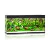Juwel Rio Aquarium 240 LED, Schwarz -Aquariumladen = das Beste. Juwel Rio 240 AquariumJuwel black 0330 l