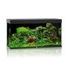 Juwel Aquarium Rio 350 LED, Schwarz -Aquariumladen = das Beste. Juwel Rio 350 black 07300 l