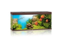 Juwel Rio Aquarium 450 LED, Dunkles Holz
