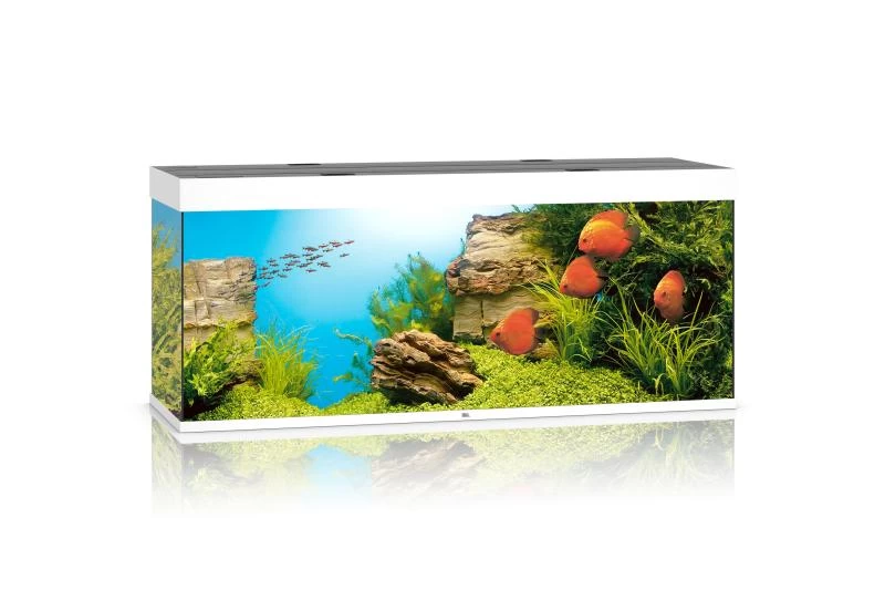 Juwel Rio Aquarium 450 LED, Weiß 3 Juwel Rio Aquarium 450 LED, Weiß