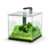 Aquatlantis Kubus 22 L LED Aquarienset -Aquariumladen = das Beste. Kubus 22 L LED Aquarienset