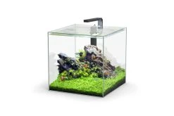 Aquatlantis Kubus 54 L LED Aquarienset