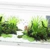 Aquatlantis Prestige 120 Aquarium -Aquariumladen = das Beste. Prestige 120 Weiss Aquarium