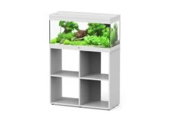 Aquatlantis Prestige 80, Kombi 80x35 Cm