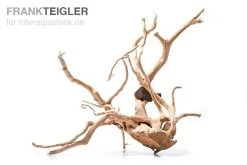 Stoffels Spiderwood Groß, Ca. 40-50 Cm