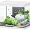 Aquatlantis Splendid 110 Aquarium -Aquariumladen = das Beste. Splendid 110 Weiss Aquarium