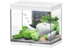 Aquatlantis Splendid 110 Aquarium
