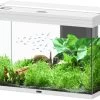 Aquatlantis Splendid 145 Aquarium 2 Aquatlantis Splendid 145 Aquarium -Aquariumladen = das Beste. Splendid 145 Weiss Aquarium