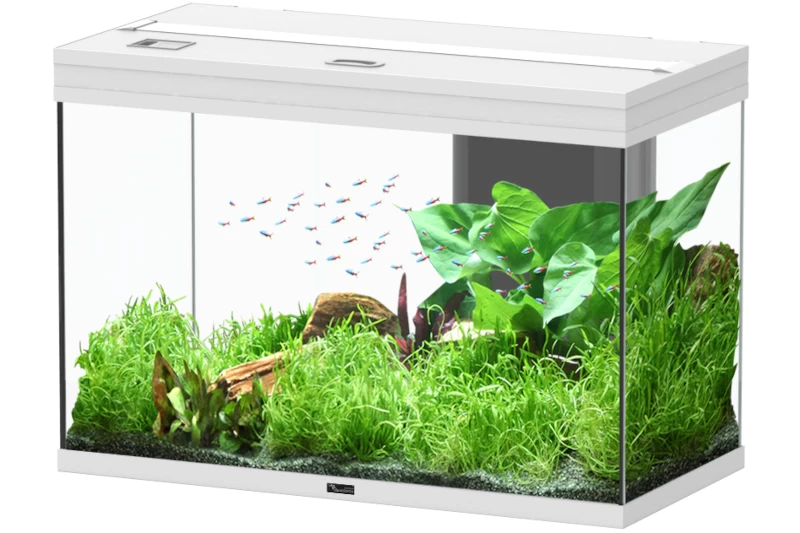 Aquatlantis Splendid 145 Aquarium 3 Aquatlantis Splendid 145 Aquarium