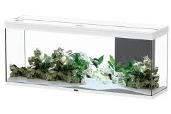Aquatlantis Splendid 240 Aquarium