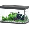 Aquatlantis Sublime 245 Piano Aquarium -Aquariumladen = das Beste. Sublime 245 Anthrazit Aquarium