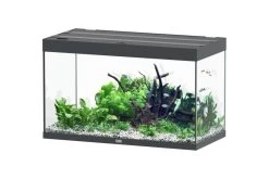 Aquatlantis Sublime 245 Piano Aquarium