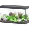 Aquatlantis Sublime 335 Piano Aquarium -Aquariumladen = das Beste. Sublime 335 Anthrazit Aquarium