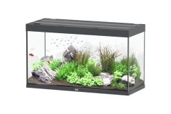 Aquatlantis Sublime 335 Piano Aquarium