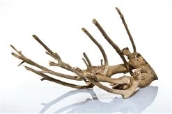 Aquadeco Talawa Holz, 30-45 Cm -Aquariumladen = das Beste. Talawa Holz 3 1