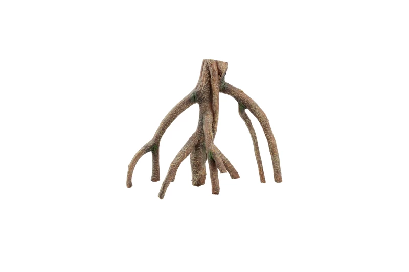 Aquatlantis Wurzel Mango 2 3 Aquatlantis Wurzel Mango 2