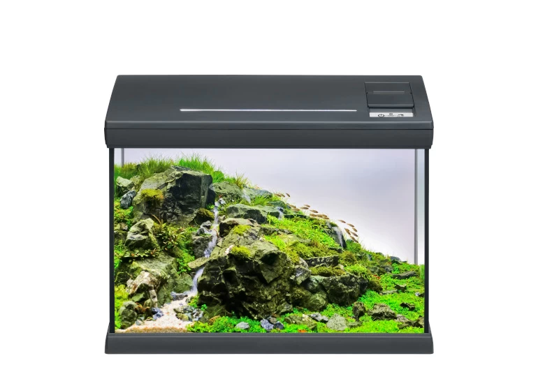 EHEIM Aquaclass 30 3 EHEIM Aquaclass 30