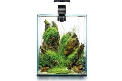 Aquael Shrimp Set Day&Night, 10 Liter Schwarz