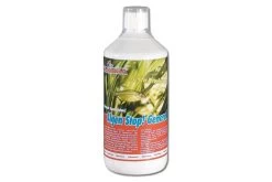 Femanga Algen Stopp General 1000 Ml