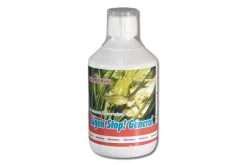 Femanga Algen Stopp General 500 Ml