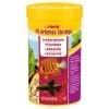 Sera FD Artemia Shrimps, 250 Ml -Aquariumladen = das Beste. sera fd artemia shrimps 250 ml