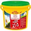 Sera KOI Color Mini, 3.800 Ml -Aquariumladen = das Beste. sera koi color mini 3800 ml