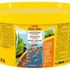 Sera Vipan Baby, 1,3 Kg -Aquariumladen = das Beste. sera vipan baby 2000 ml