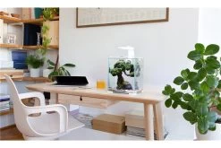 Aquael Shrimp Set Day&Night, 30 Liter Schwarz -Aquariumladen = das Beste. shrimp set day night 5