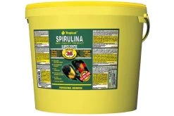 Tropical Super Spirulina Forte (36%), 5 Liter